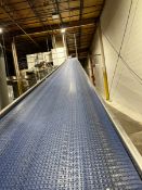 BMI S/S INCLINE BELT CONVEYOR