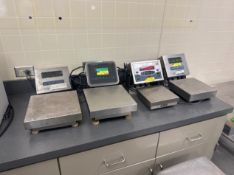 (4) S/S PLATFORM SCALES