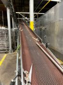 BMI S/S INCLINE CONVEYOR