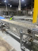 STRAIGHT SECTION S/S WIRE MESH BELT CONVEYOR