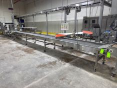 STRAIGHT SECTION OF CONVEYOR