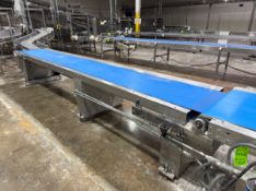 STRAIGHT SECTION OF CONVEYOR