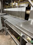 BMI STRAIGHT SECTION BELT CONVEYOR