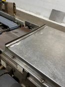 SECTION OF BMI CONVEYOR