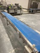 STRAIGHT SECTION BELT CONVEYOR