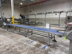 BMI STRAIGHT DUAL SECTION OF CONVEYOR