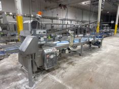 RHEON SYNCHRONIZED CONVEYOR