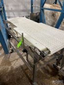 S/S STRAIGHT SECTION BELT CONVEYOR