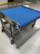 STAINLESS STEEL STRAIGHT SECTION BELT CONVEYOR