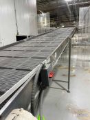 STAINLESS STEEL BMI INCLINE CONVEYOR APPROX. 26L X 42W