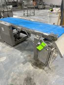 S/S STRAIGHT SECTION CONVEYOR DIMENSIONS:89L X 21W