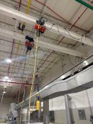 CM 1/2 TON ELECTRIC HOIST