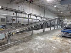 DUAL LANE S/S CONVEYOR