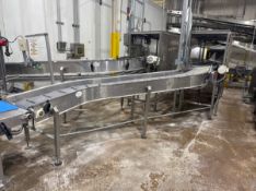 BMI S-TYPE S/S CONVEYOR