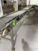 BMI S/S BELT CONVEYOR APPROX 25L X 21W