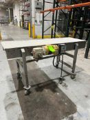 BMI STRAIGHT SECTION BELT CONVEYOR