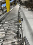 STRAIGHT SECTION S/S WIRE MESH BELT CONVEYOR