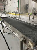 BMI STRAIGHT SECTION BELT CONVEYOR