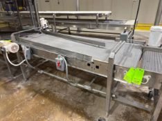 BMI STRAIGHT SECTION OF CONVEYOR