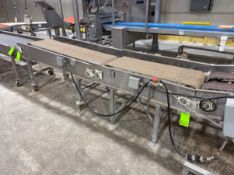 (2) SECTIONS OF EAGLE STONE CONVEYOR