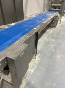 STRAIGHT SECTION BELT CONVEYOR