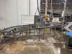 BMI S-TYPE S/S CONVEYOR