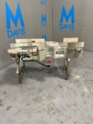 BOSTON CONVEYOR AND AUTOMATION CONVEYOR, APPROX. 50 IN. L X 13 IN. W, WITH WESTINGHOUSE TECO ALL S/S