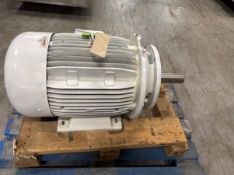 FRYMA SHEAR PUMP SPARE MOTOR