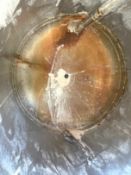 Mueller 2500 Gallon Stainless Steel Tank, S/N 357209-31, Rated 30 PSI @ 160 to -20 Deg.F.. 8' Dia.