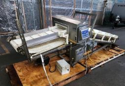 Safeline Mettler Toledo Metal Detector Incline Cleated Belt, Aprox. 12