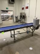 STRAIGHT SECTION OF S/S BELT CONVEYOR