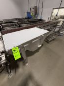 (2) SECTIONS OF PRODUCT CONVEYOR, (1) SECTION APPROX. 46 IN. L X 24 IN. W, (1) SECTION SPPROX. 153