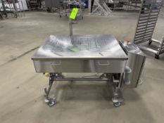 REISER AUTMATIC PANNING TABLE, MODEL M-RXYTABLE6040, S/N 123, 120 V, 1 PHASE, 60 HZ, ALLEN BRADLEY