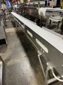 STRAIGHT SECTION S/S BELT CONVEYOR