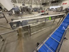 STRAIGHT SECTION OF S/S CONVEYOR, APPROX. 150 IN. L X 16 IN. W