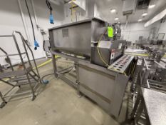 BLENTECH DOUBLE RIBBON BLENDER, MODEL DM-18060-R, S/N 961154, TANK APPROX. DIMS: 60 IN. L X 36 IN. W