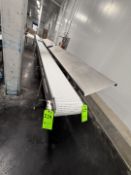 STRAIGHT SECTION OF S/S CONVEYPR WITH PACK OFF MANTLE AND VARIABLE SPEED CONTROLLER, APPROX. 400 IN.