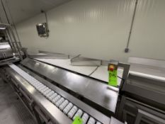 HUGHES CORN COB SAW, MODEL 0375531, S/N 17-35555-4, INCLUDES APPROX. 108 IN. OF INSPECTION CONVEYOR,