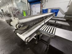 STRAIGHT CONVEYOR SECTION, APPROX. 15 IN W BELTS, INCLUDES (2) SECTIONS OF CONVEYOR (1) APPROX.