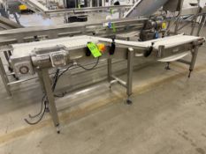 S/S INCLINE CONVEYOR, APPROX. 116 IN. L X 12 IN. W