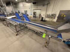 NORTH STAR ENGINERING PRODUCTS MESH BELT TRANSFER/INSPECTION/TRIM CONVEYOR WITH TABLES, APPROX.
