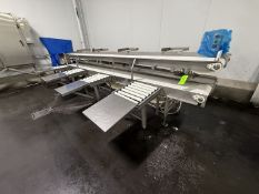 STRAIGHT CONVEYOR SECTION, APPROX. 15 IN W BELTS, INCLUDES (2) SECTIONS OF CONVEYOR (1) APPROX.