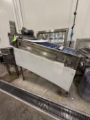 CLEATED INCLINE CONVEYOR WITH LONG CLEATS / FLIGHTS, PREVIOUSLY FED LONG VEGETABLES INTO WASH