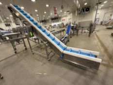 WEIGHPACK CLEATED INCLINE CONVEYOR (PREVIOUSLY OPERATING WITH THE PRIMO SCALE LOT 301), MODEL