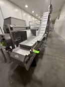 HUGHES CLEATED INCLINE CONVEYOR WITH VARIABLE FEE DRIVE, FEEDS INTO INSPECTION TABLE AND SINGLE