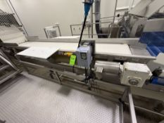 HUGHES INSPECTION CONVEYOR WITH TABLES, INSPECTION PRIOR TO WASHING, VARIABLE SPEEDS, APPROX. 138