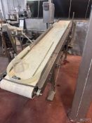 S/S SLIGHT INCLINE CONVEYOR