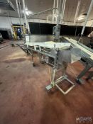 S/S SLIGHT INCLINE CONVEYOR