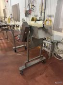 S/S SLIGHT INCLINE CONVEYOR