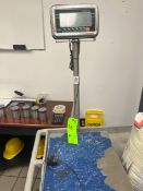 (2) ULINE S/S PLATFORM SCALE